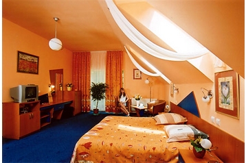 Šeiminis pensionas Poiana Braşov 5